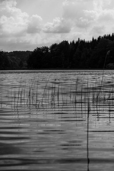 2018_05_09_Jura (0065_b-w).jpg - grand et petit lac Maclu, Jura (Mai 2018)